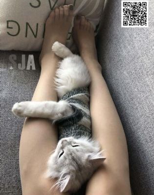 天天视频国产在线_4K在线观看高清